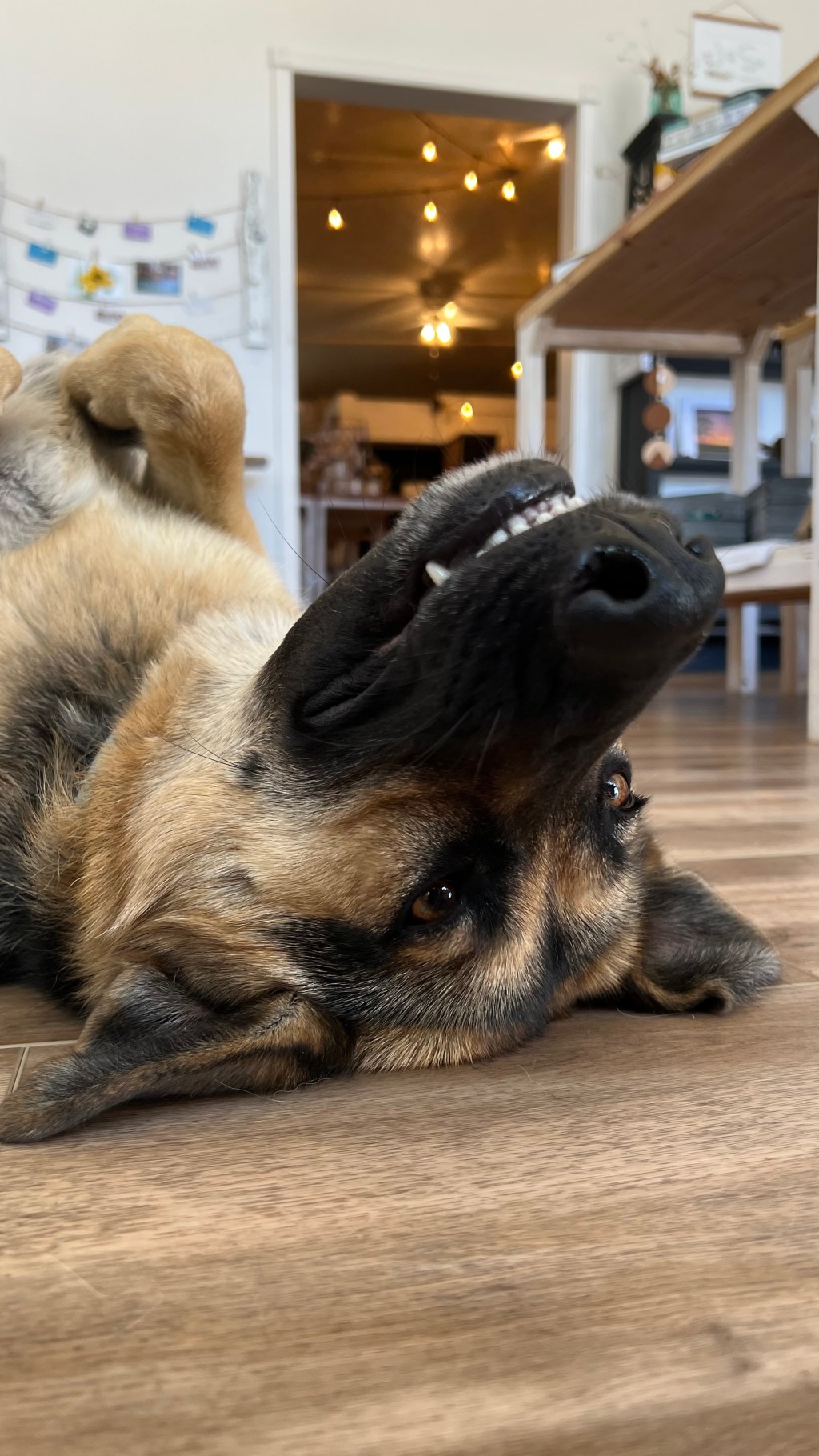 Special Post: Astrid